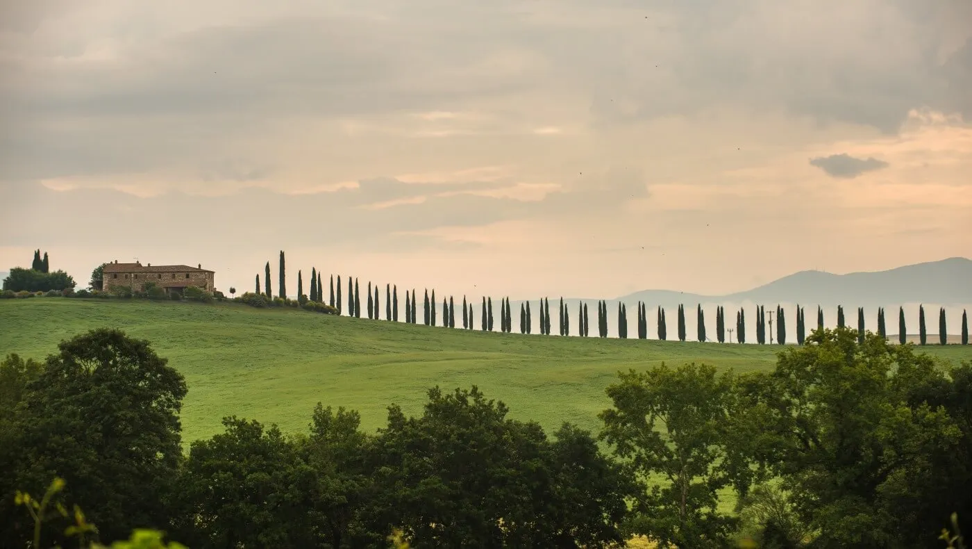 Colline della Val d’Orcia al tramonto, con i filari di cipressi