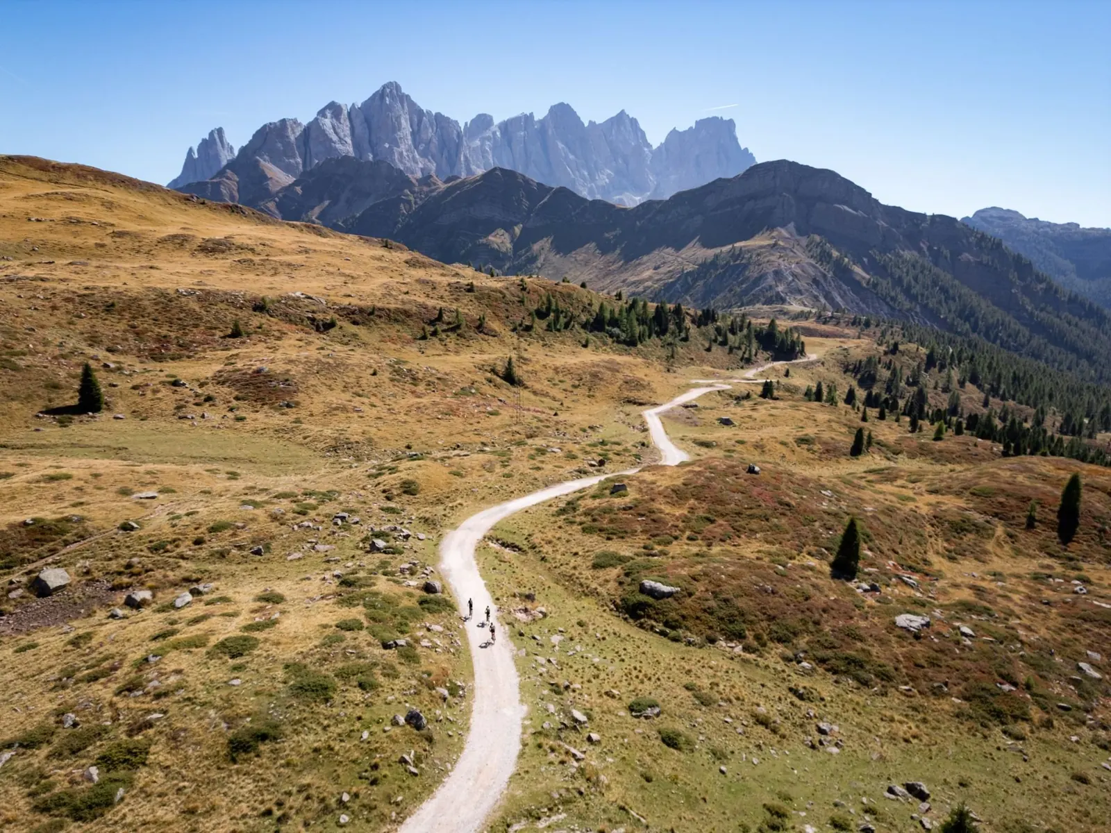 Due ciclisti su una strada bianca che attraversa i pascoli d'autunno, sotto le Pale di San Martino